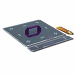 TrueShrink Shrinkage Measuring Template & Scale