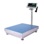 Digital Platform Scale