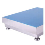 Digital Platform Scale - Image 2