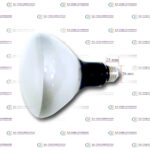 AATCC Incandescent Flood Lamp with reflector, 500 Watt 120 Volt