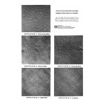 ASTM D3512 Pilling Photographic Standards for Random Pilling