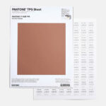 Large Paper Swatches (TPG Sheets)